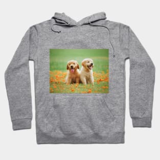 Puppies Hoodie